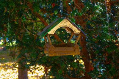 Прикрепленное изображение: DSC00994-1.jpg